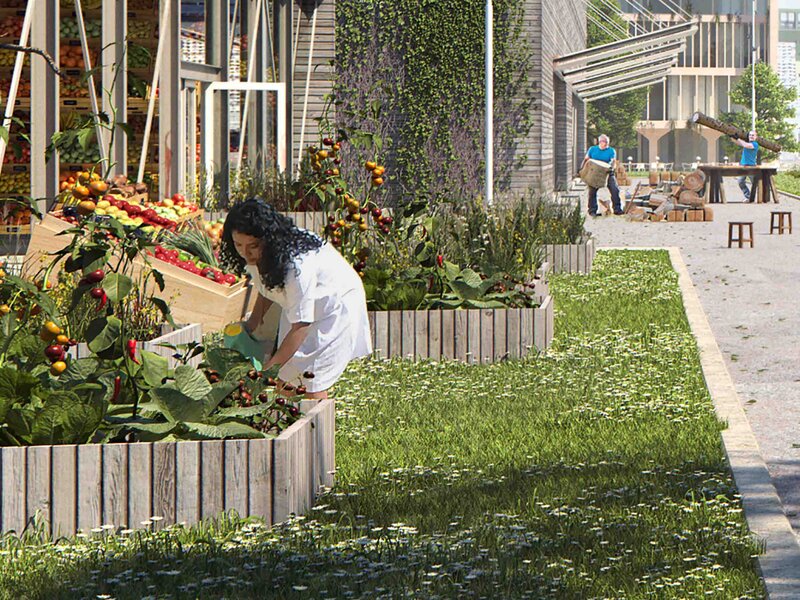 Urban Gardening im Werftquartier | © Cobe